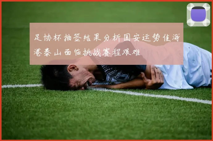 足协杯抽签结果分析国安运势佳海港泰山面临挑战赛程艰难